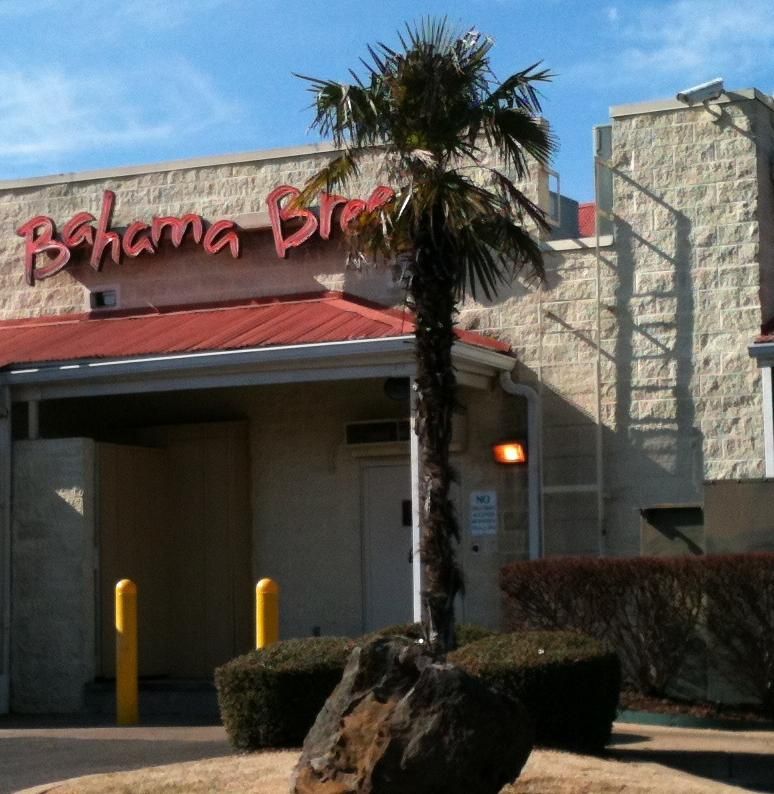 Best trunking palm for Memphis TN Subtropical Memphis