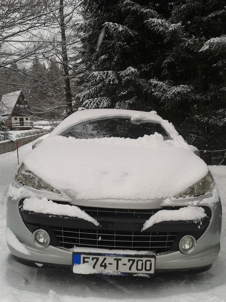 slika