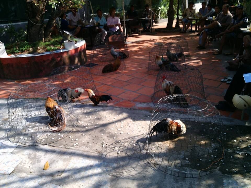 Quang cảnh chung buổi ofline