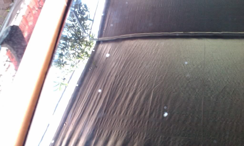IMAG0100.jpg