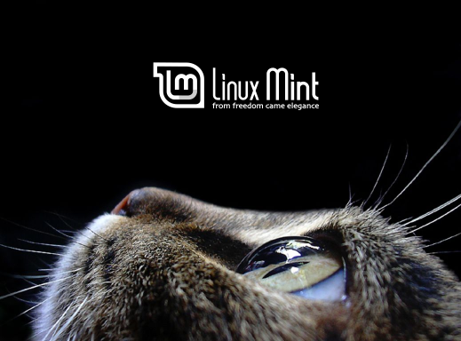 linux cat
