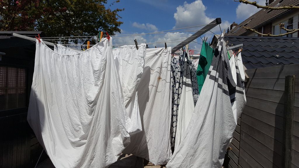  photo 20160504_123134_zpseoid9bhz.jpg