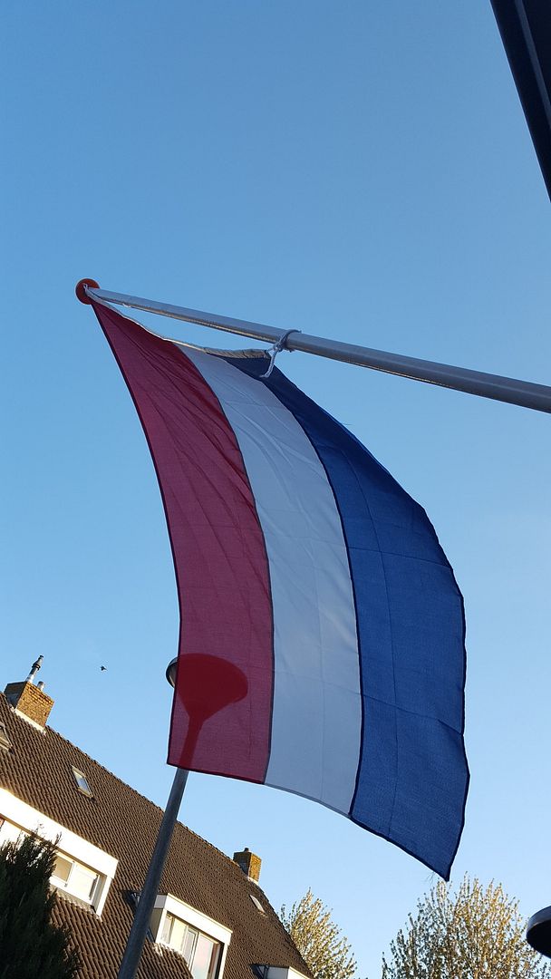  photo 20160505_195828_zpsujrpdgde.jpg