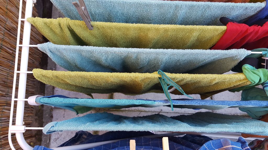 photo 20160715_080226_zpsjl82ge5u.jpg