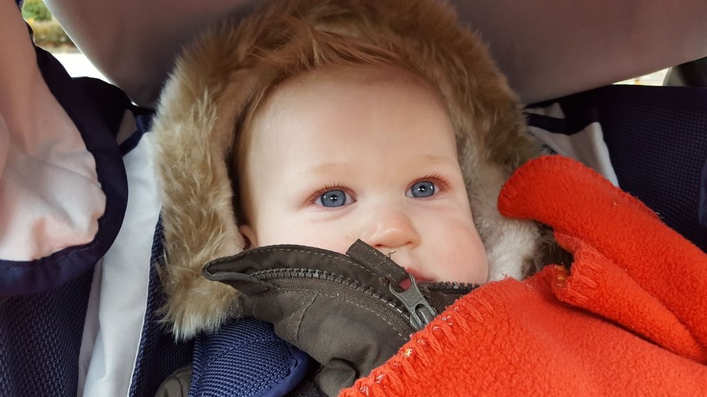  photo 20161116_105626_zpse73rsr7b.jpg