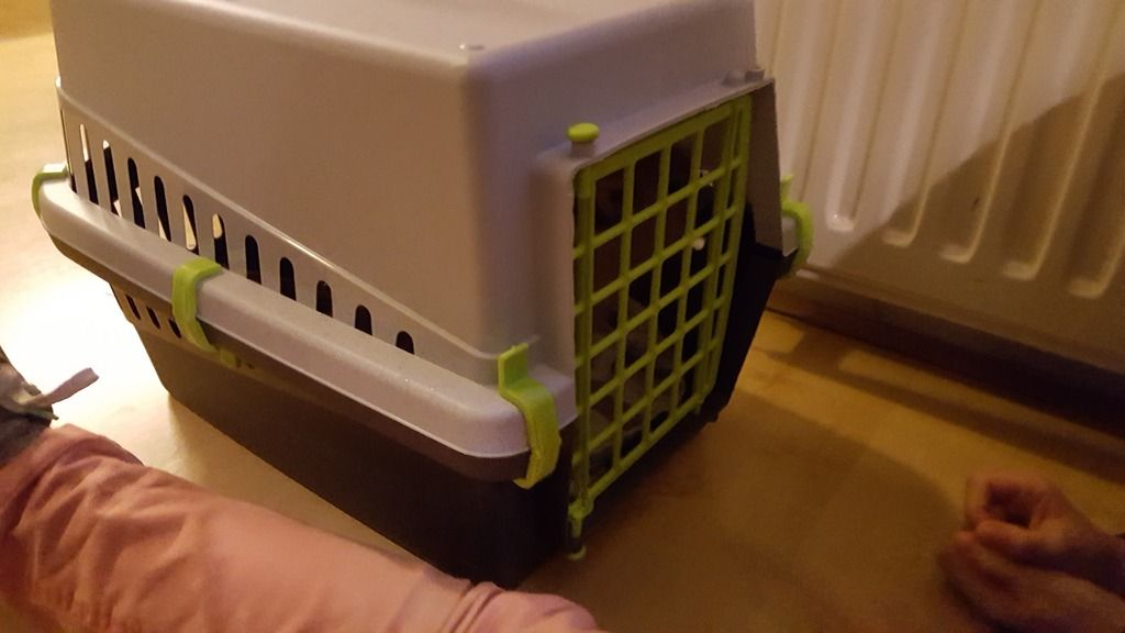  photo 20170206_075217_zps7m9bz7tg.jpg