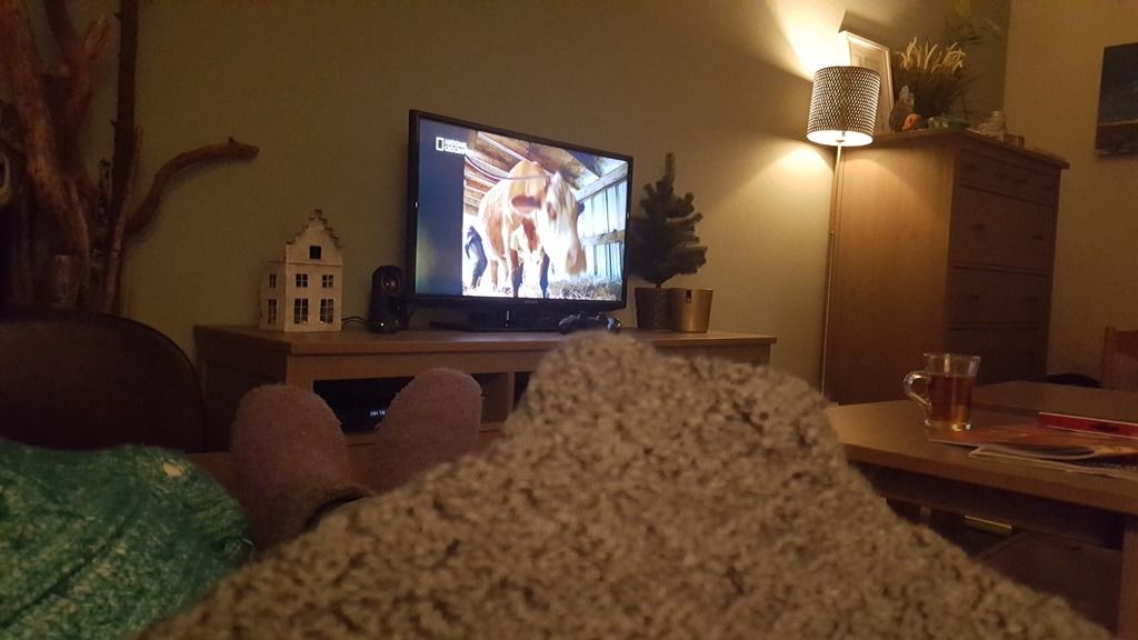 photo 20170214_201043_zpsnicaexfj.jpg