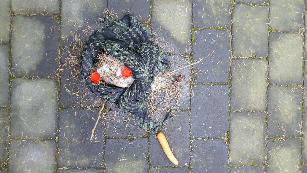  photo 20170216_080517_zpsfxagr1ue_edit_1487260542785_zpsqm8z18ge.jpg