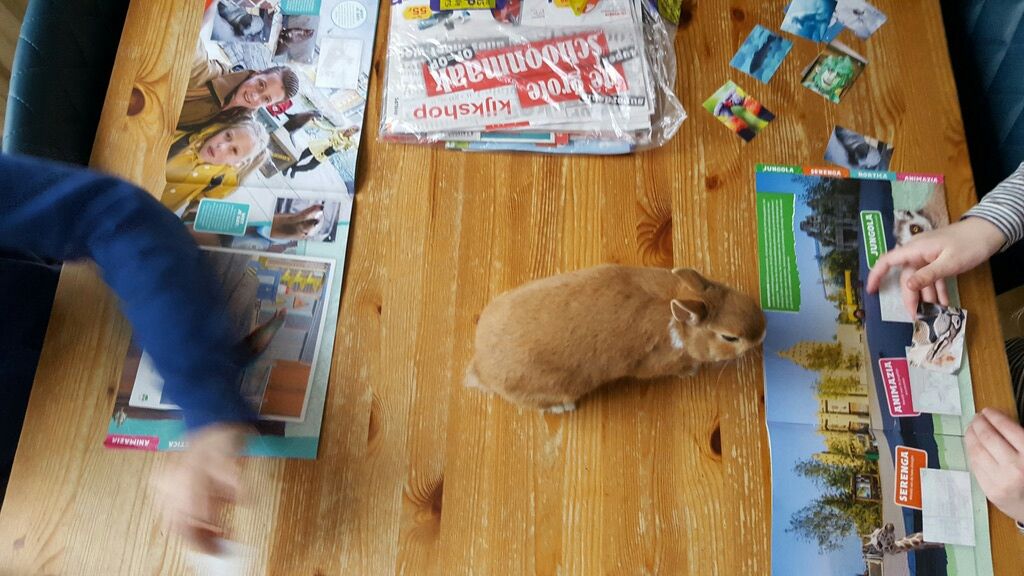 photo 20170220_151333_zpsss8senpt_edit_1488044842862_zpswiw7jzhd.jpg