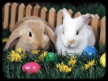 bunnys photo Easter1.jpg