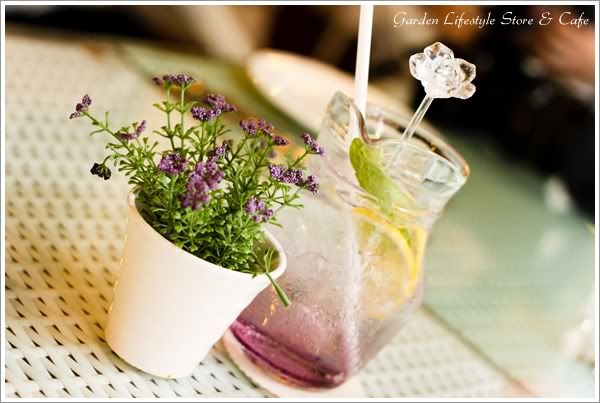 lavender-drink