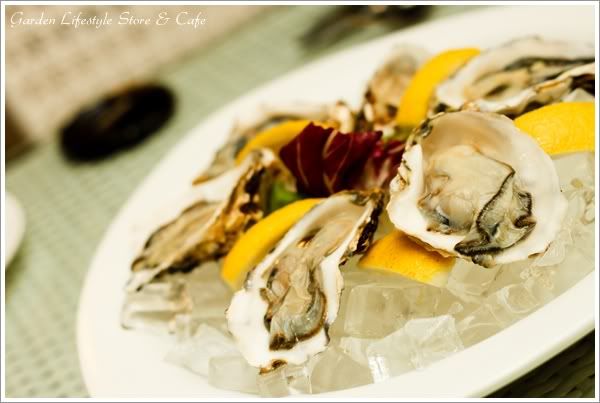 oyster