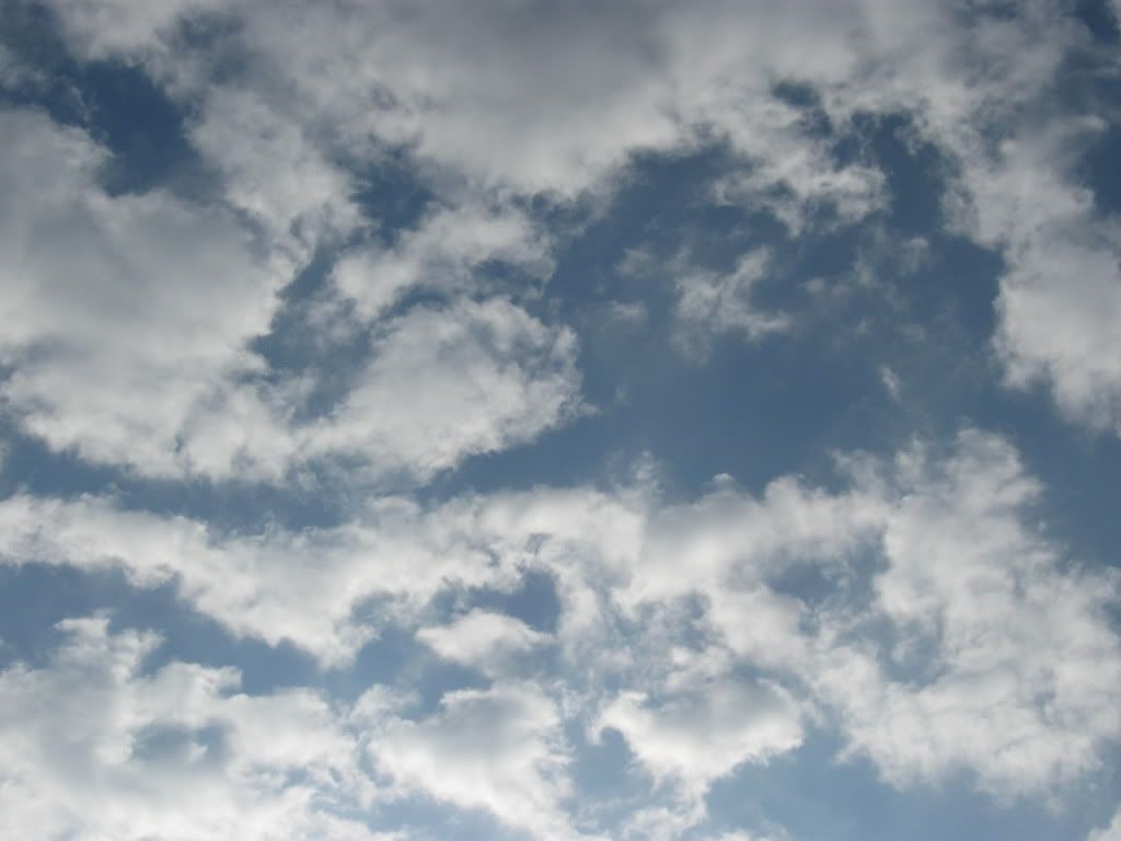 MorningSky1002.jpg