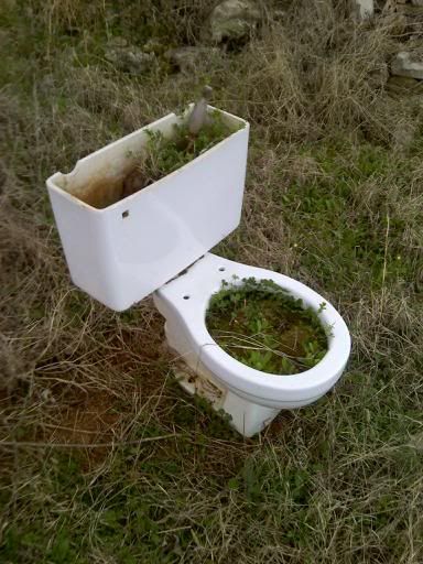 plants.jpg