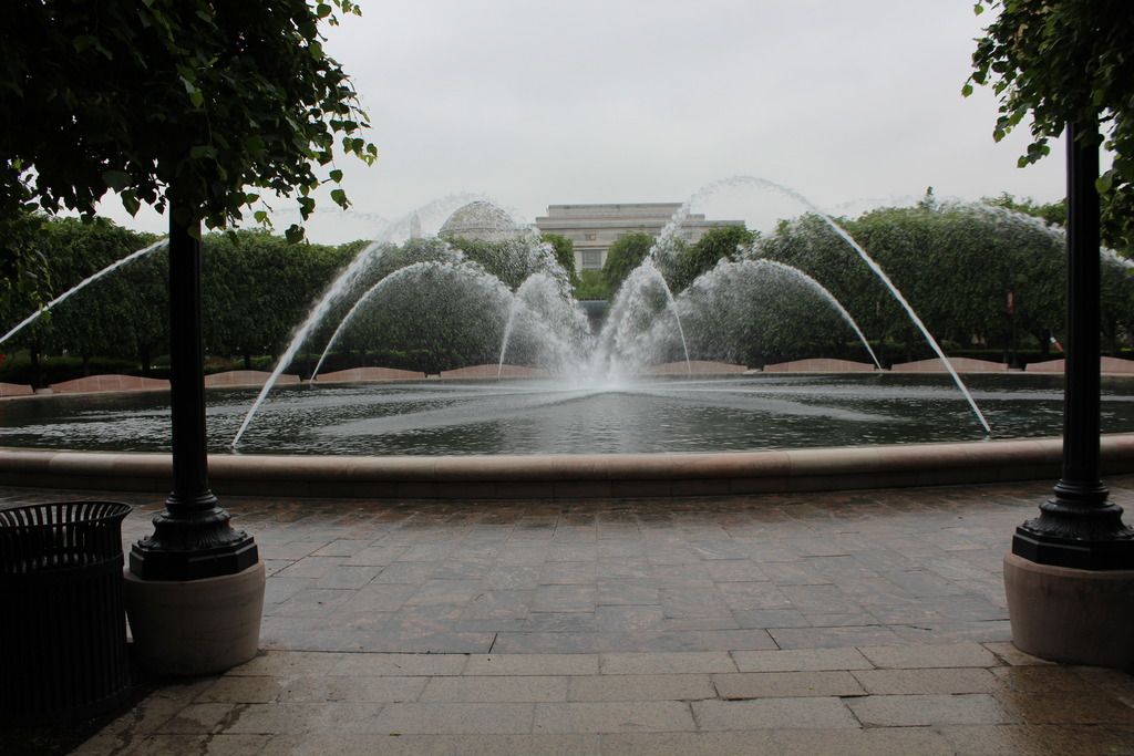 photo IMG_0207_zpstibxrntr.jpg
