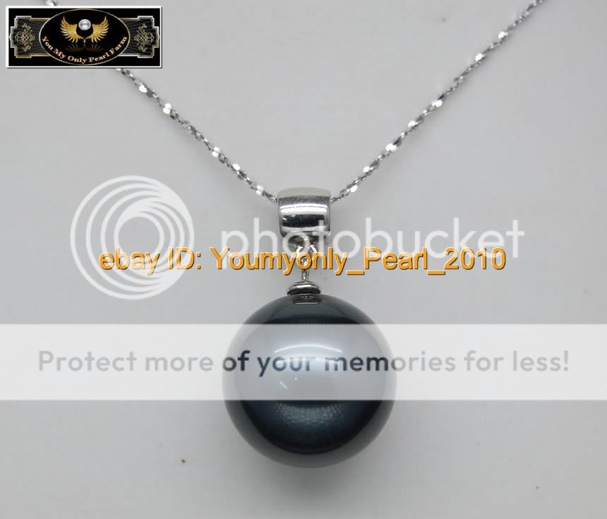 MP925SILVER   BEAUTIFUL 16MM BLACK SEA SHELL PEARL PENDANT  