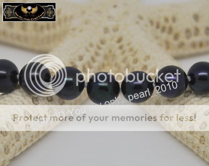MP Fine 7 8mm AAA+ black pearl bracelets 925S Clasp  